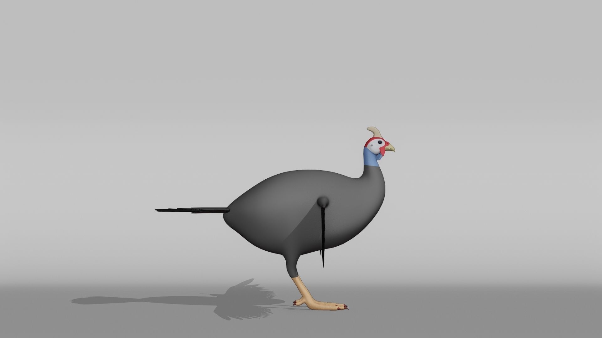 Guinea Base Mesh Low-poly 3D model_8