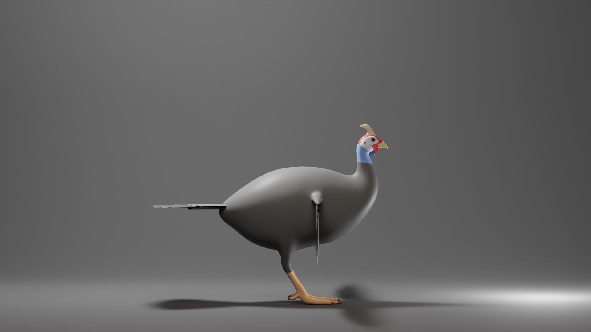 Guinea Base Mesh Low-poly 3D model_5