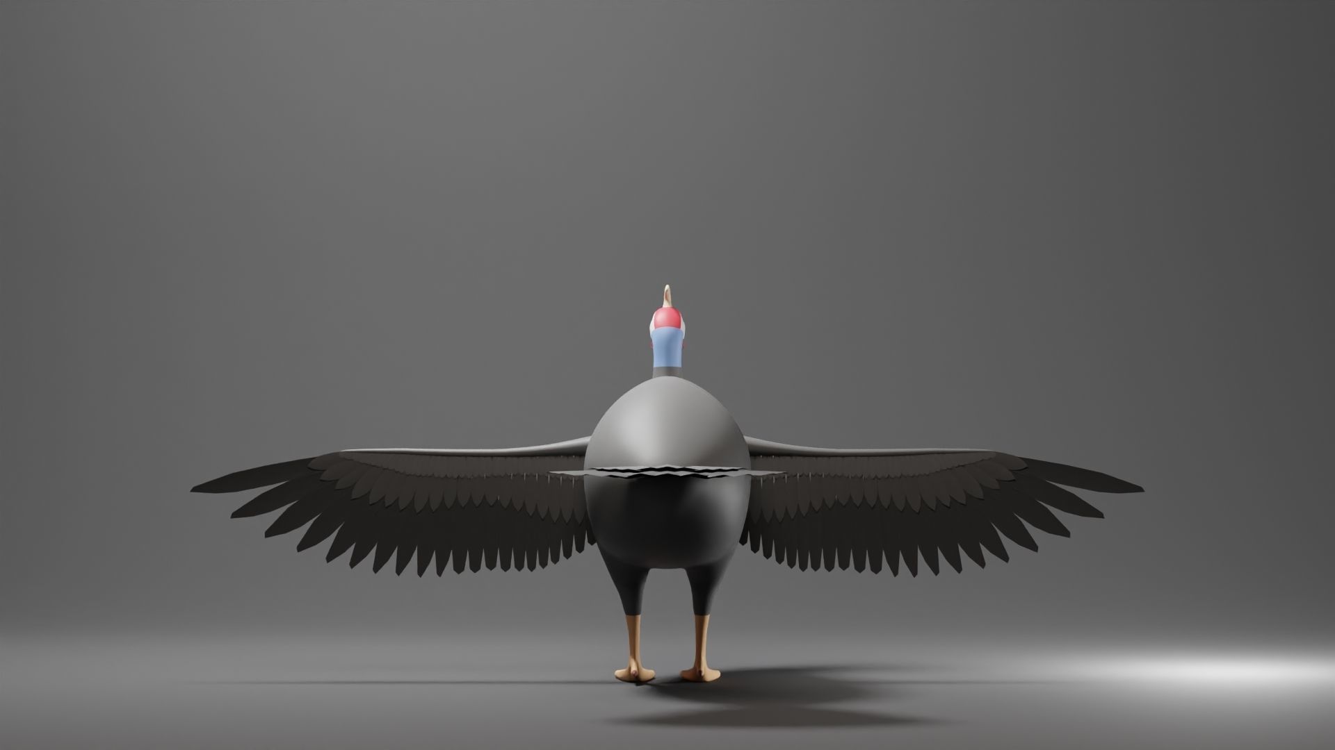 Guinea Base Mesh Low-poly 3D model_3