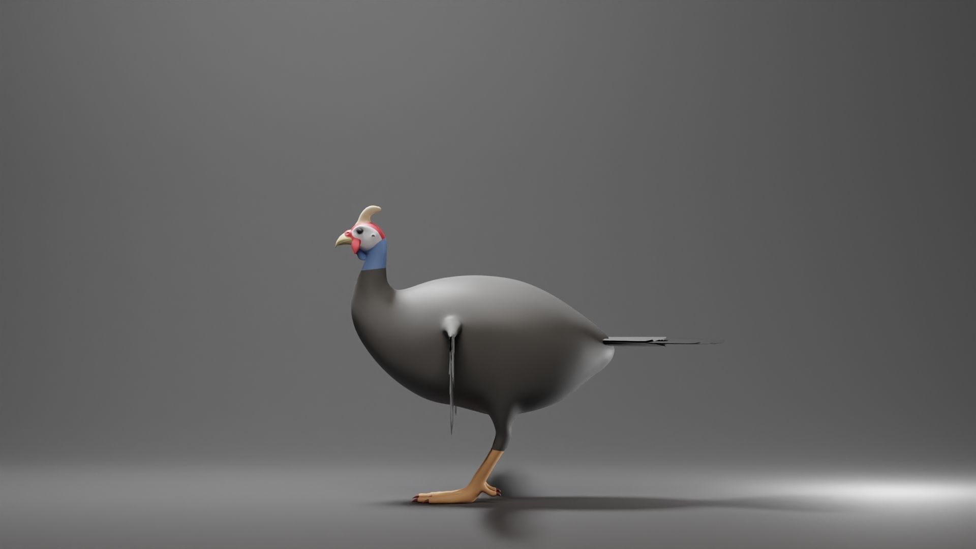 Guinea Base Mesh Low-poly 3D model_2