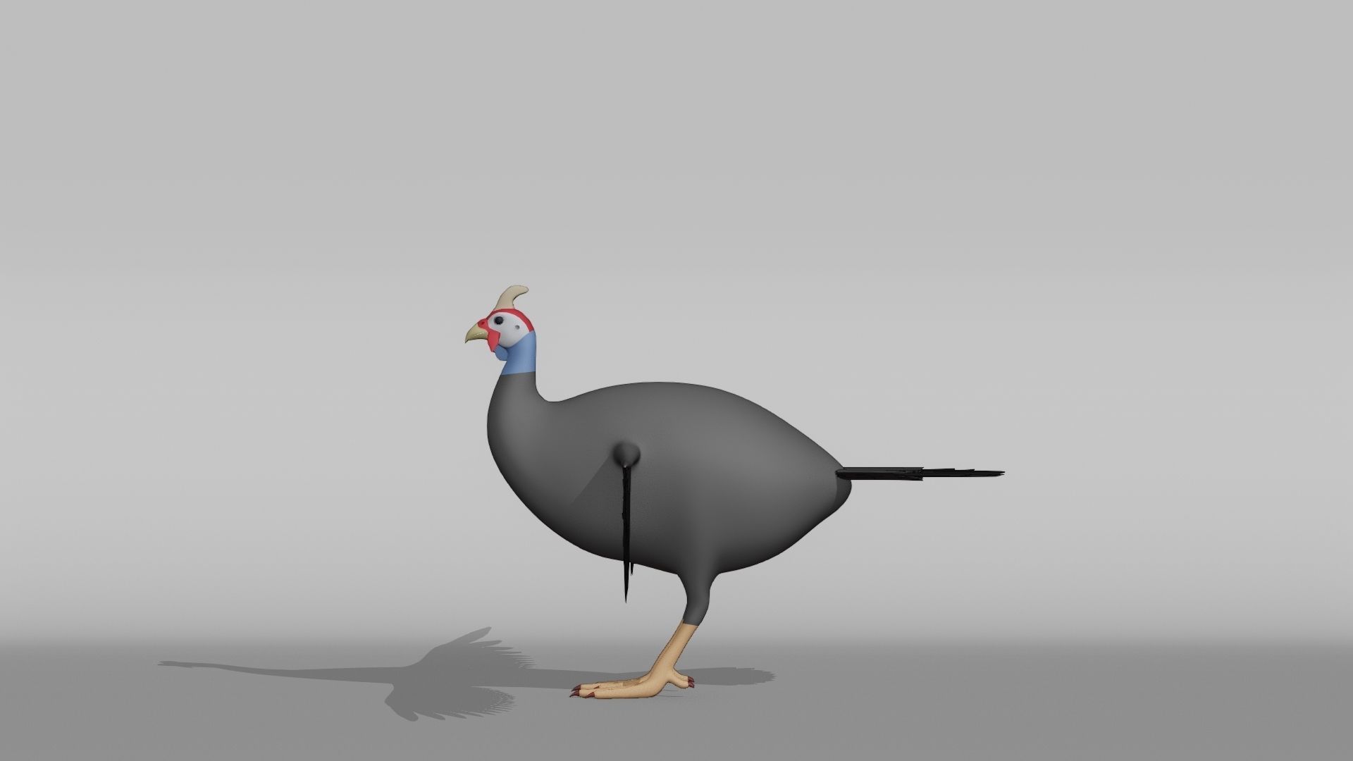 Guinea Base Mesh Low-poly 3D model_10