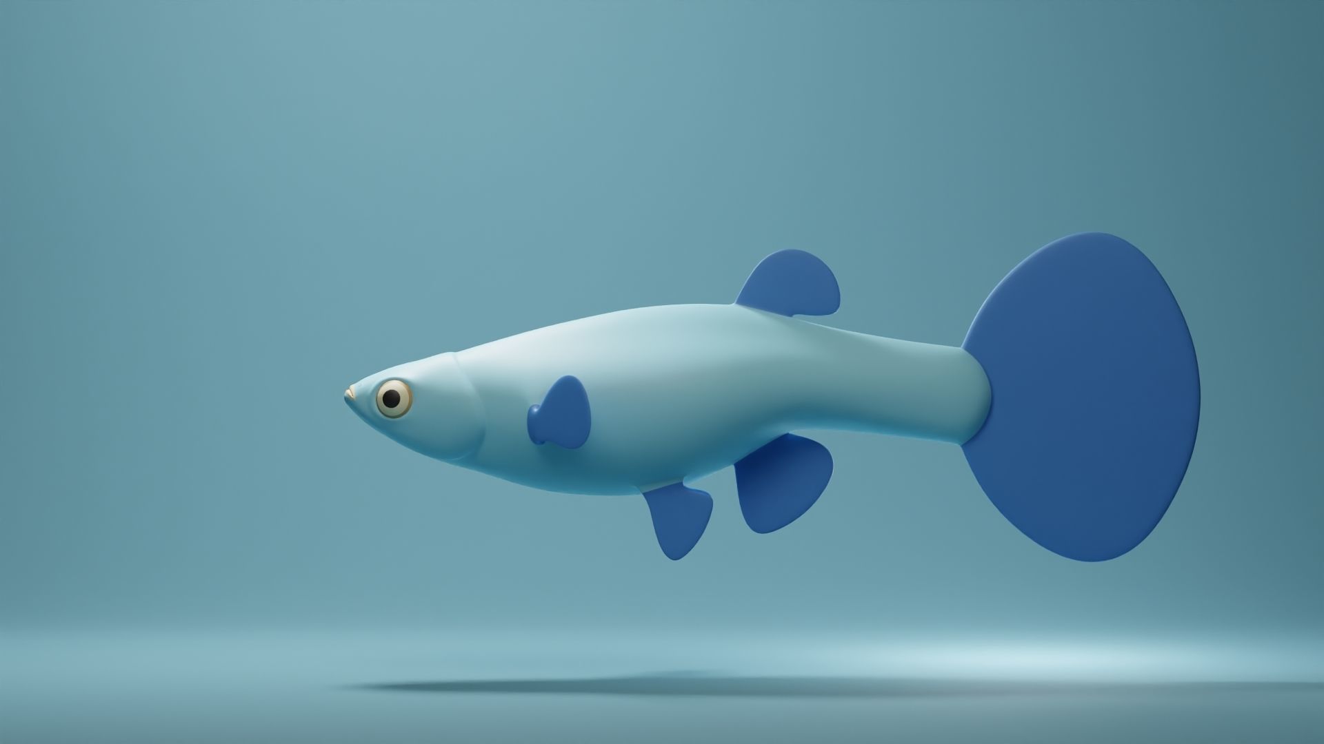 Guppy Base Mesh Low-poly 3D model_5