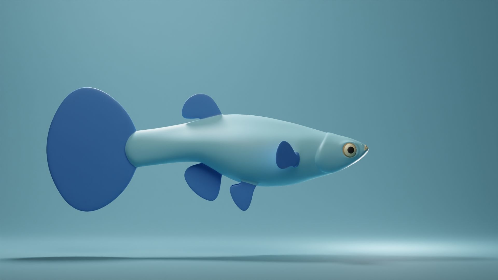 Guppy Base Mesh Low-poly 3D model_3