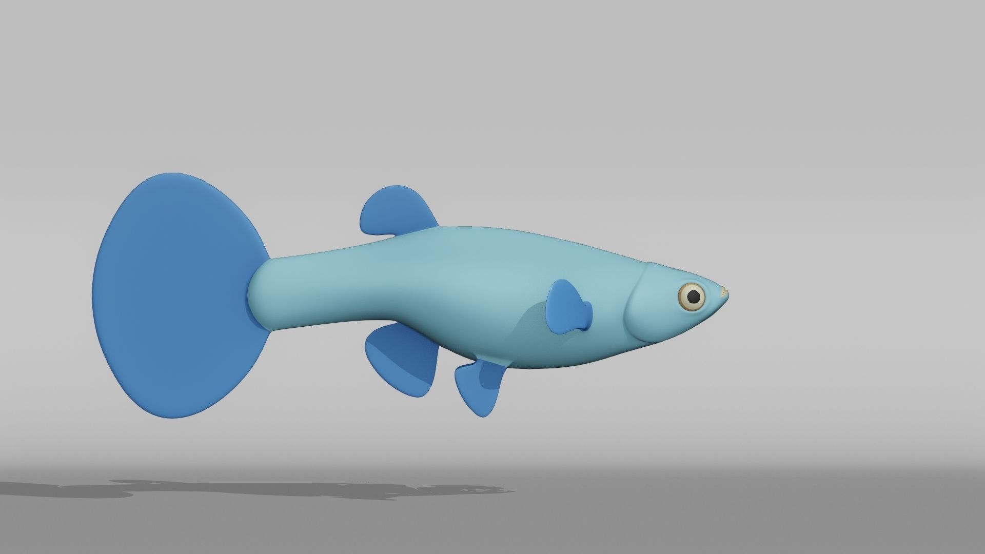 Guppy Base Mesh Low-poly 3D model_8