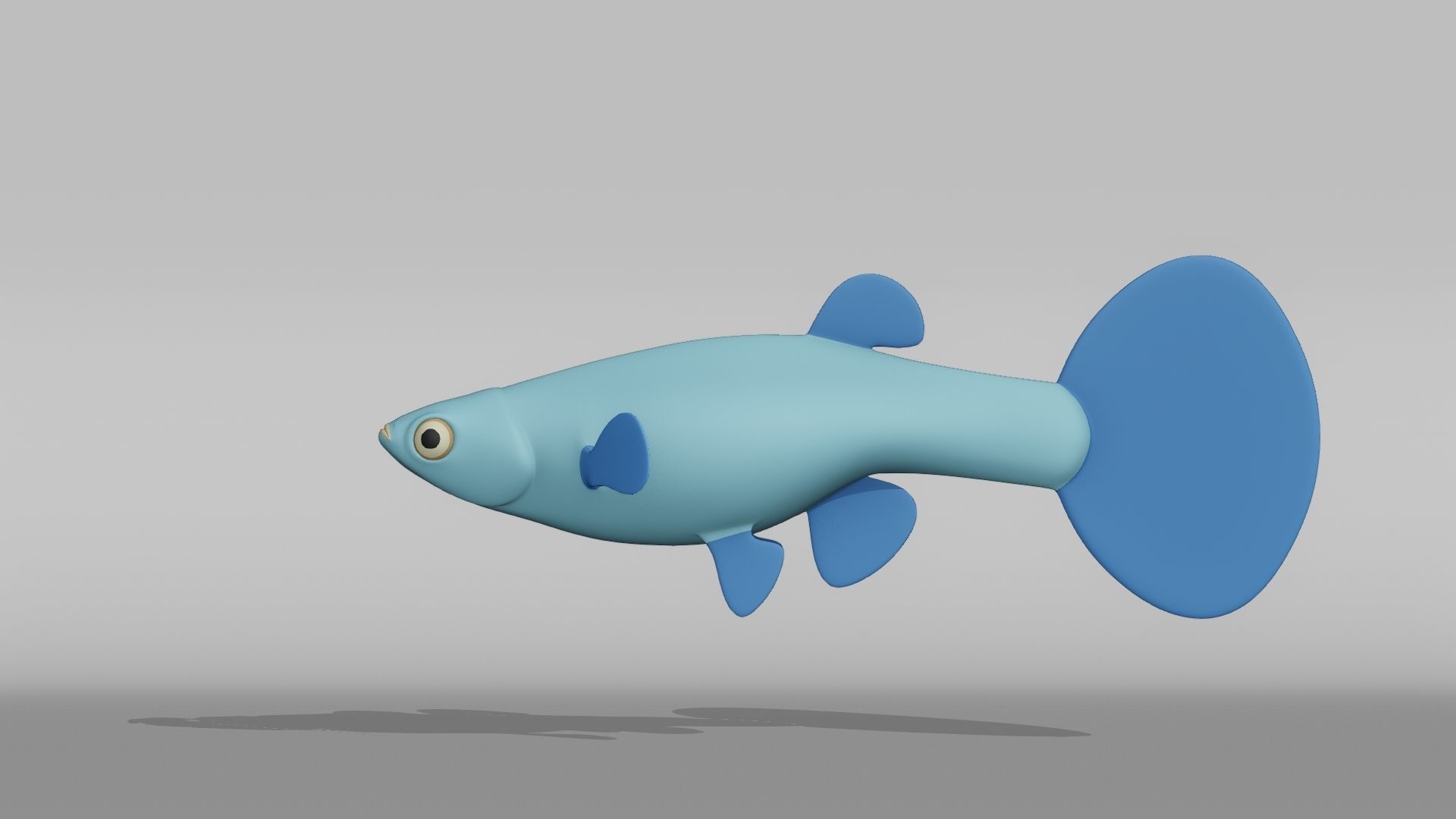 Guppy Base Mesh Low-poly 3D model_10