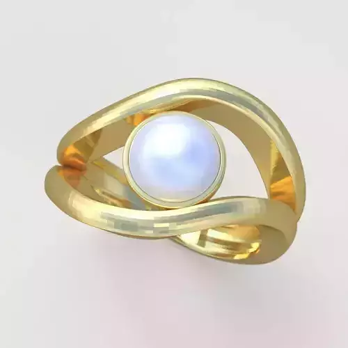 Ring 3d model 0289 3D printable model-9 3D print model