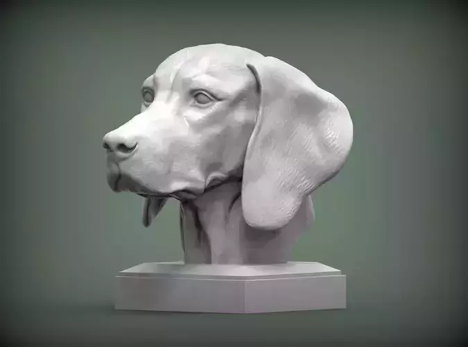 Hungarian vizsla Hungarian Pointing Dog 3D print model 3D print model
