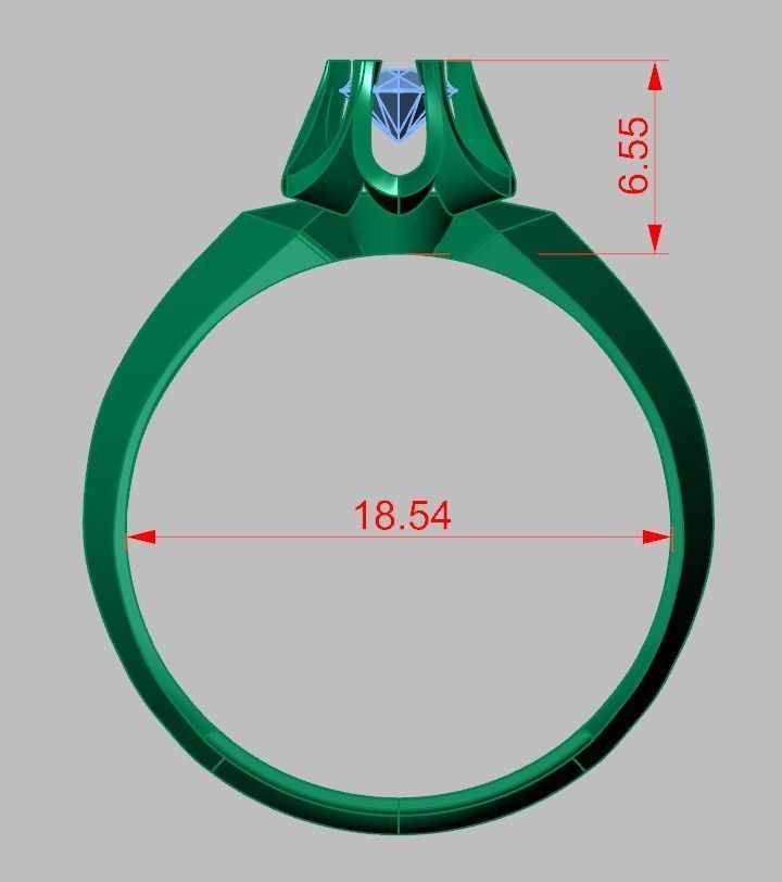 Ring 3D model 0299 3D printable model15 3D print model_15