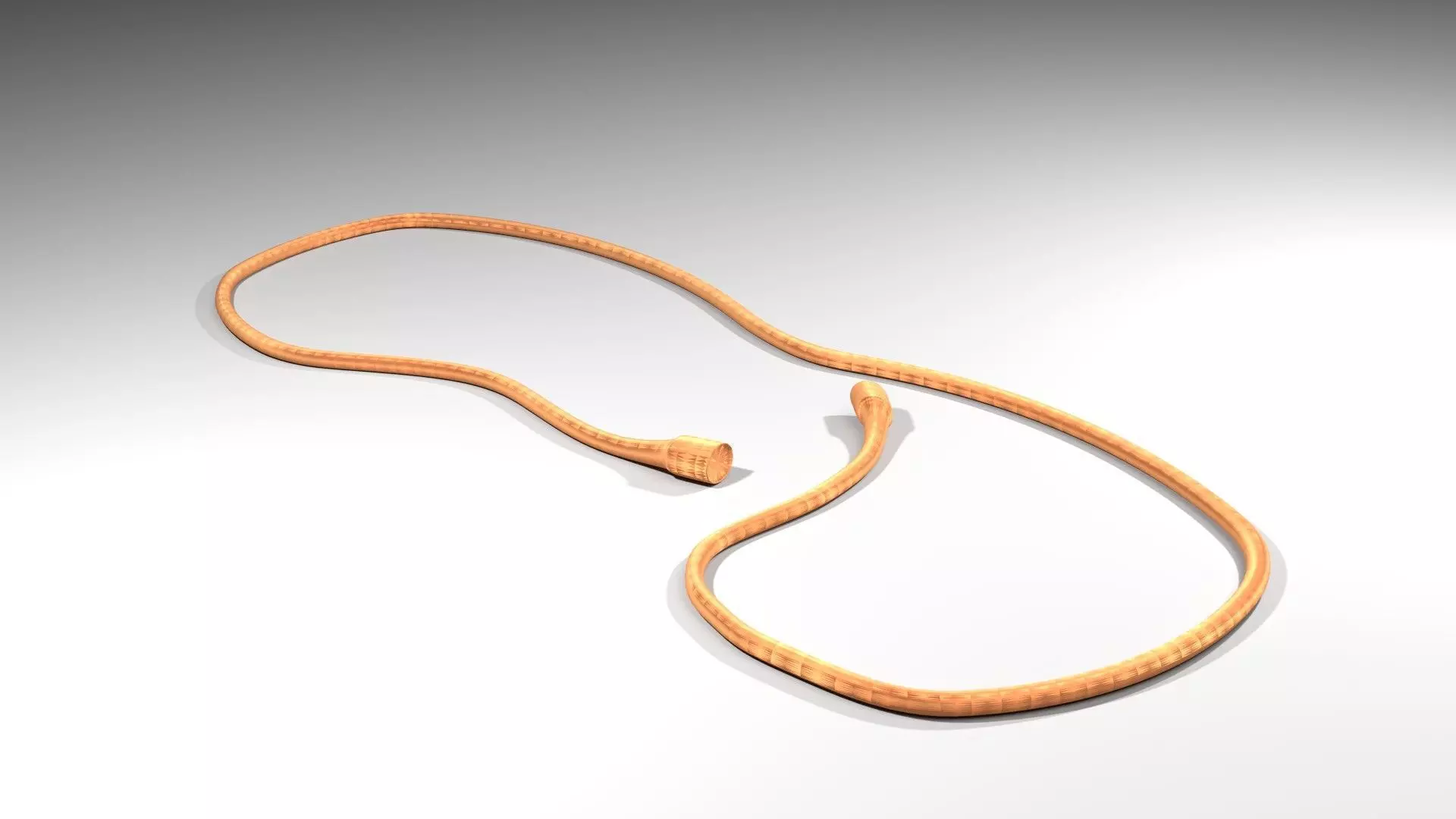 Gymnastics Apparatus - Rope 3D model