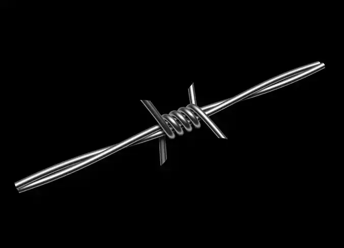 Barbed Wire 3D model