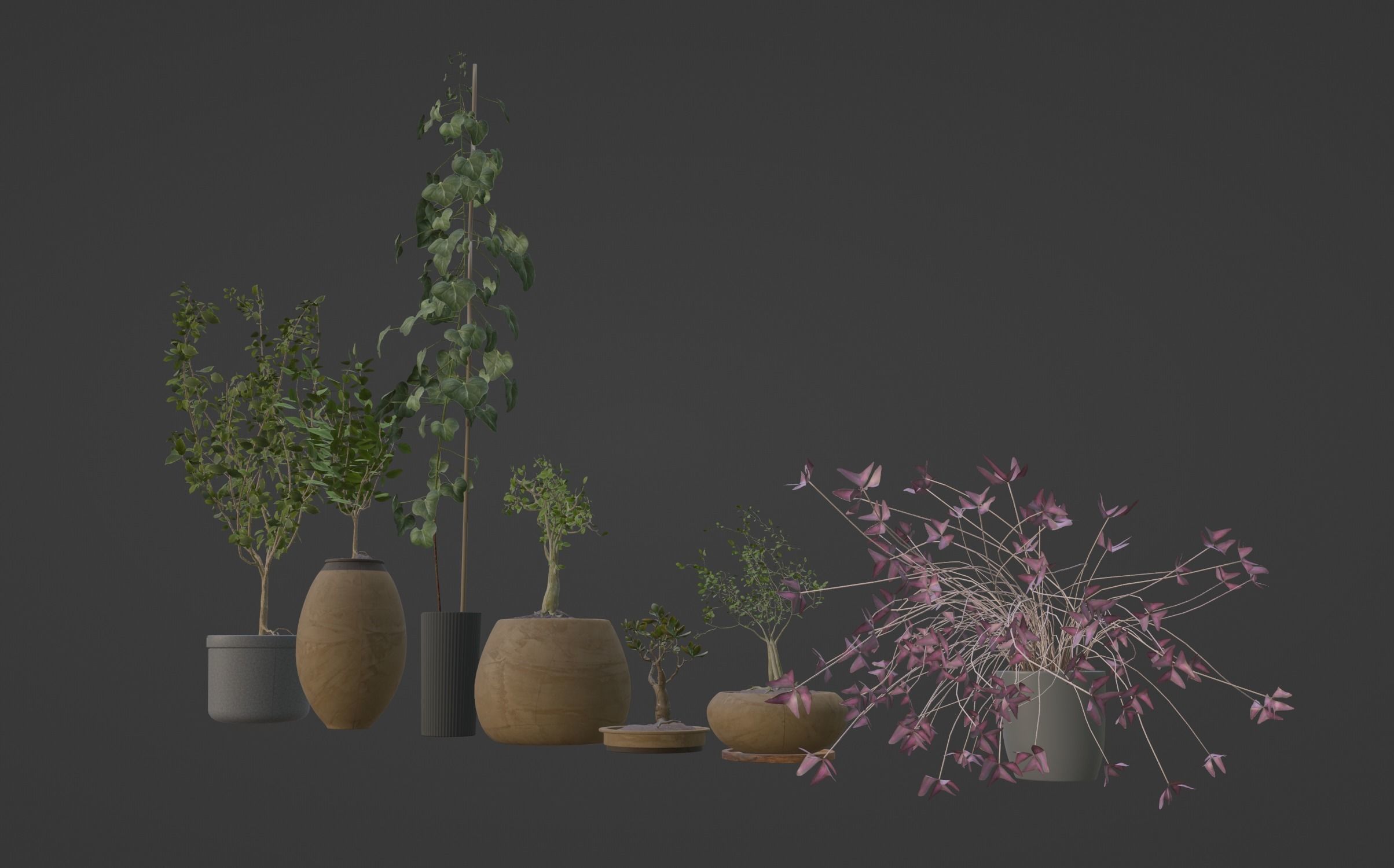 Potted plants collection 3D model_13