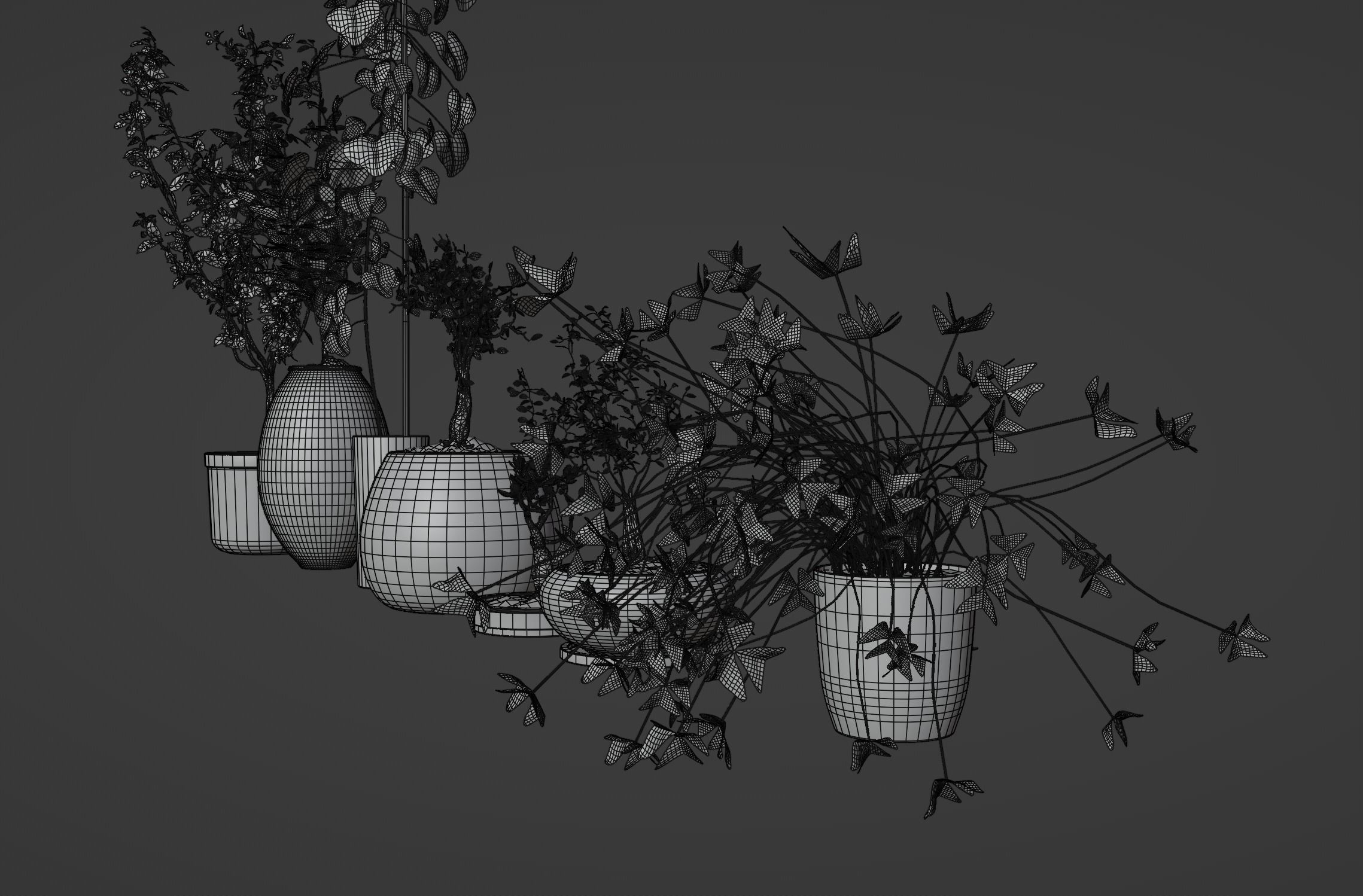 Potted plants collection 3D model_12