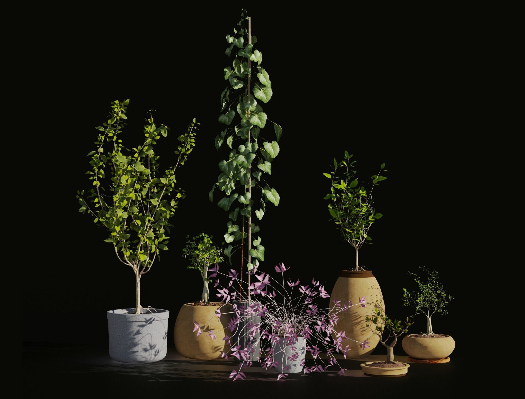 Potted plants collection 3D model_1