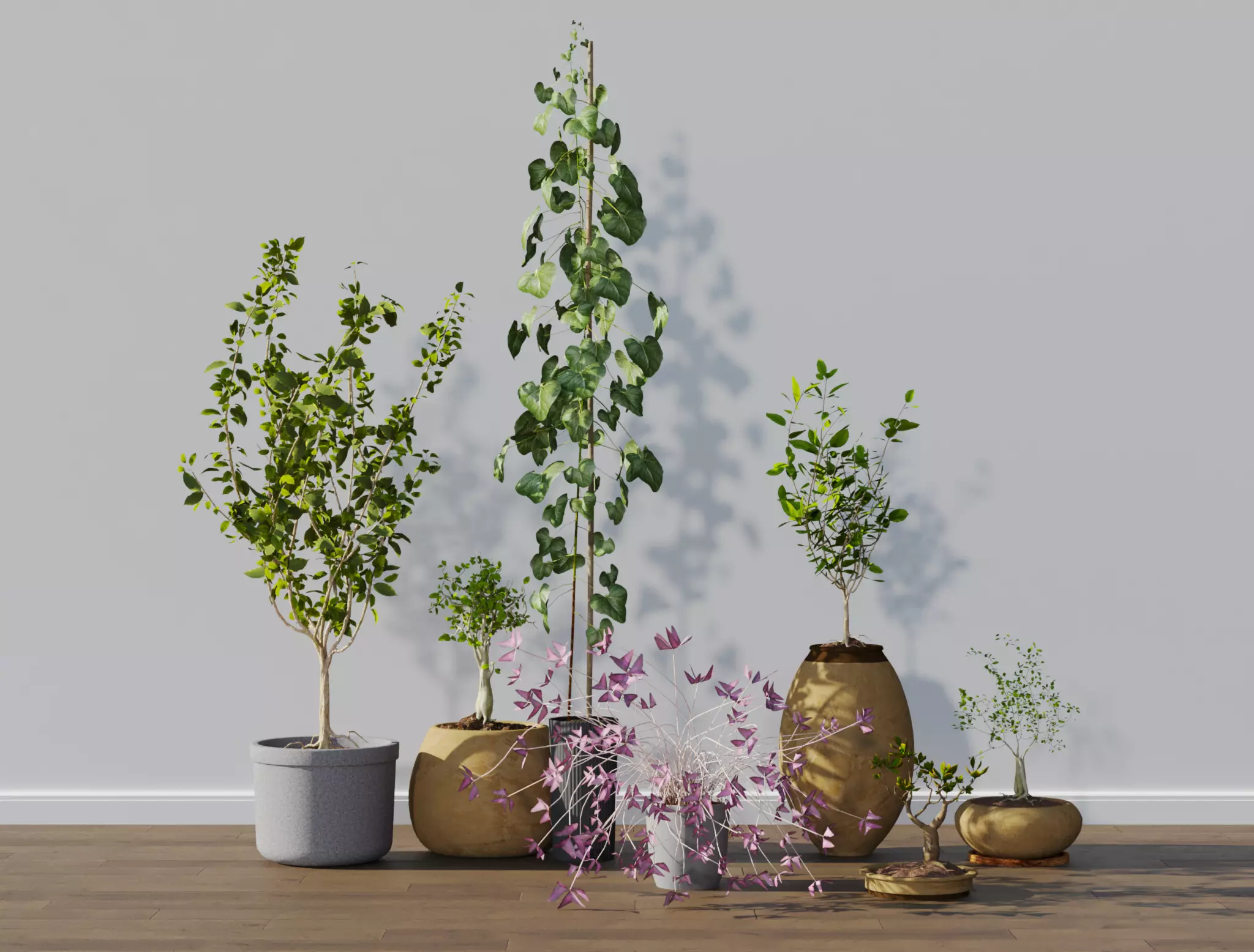 Potted plants collection 3D model_0