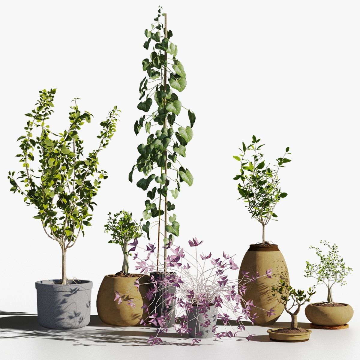 Potted plants collection 3D model_9
