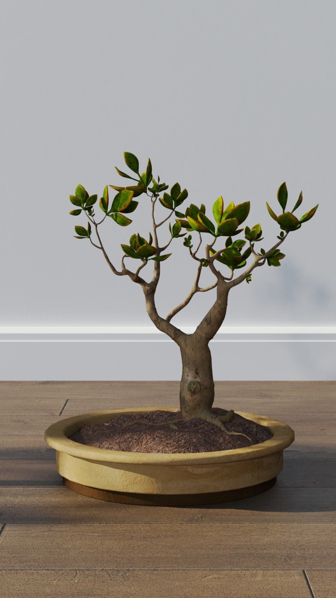 Potted plants collection 3D model_5