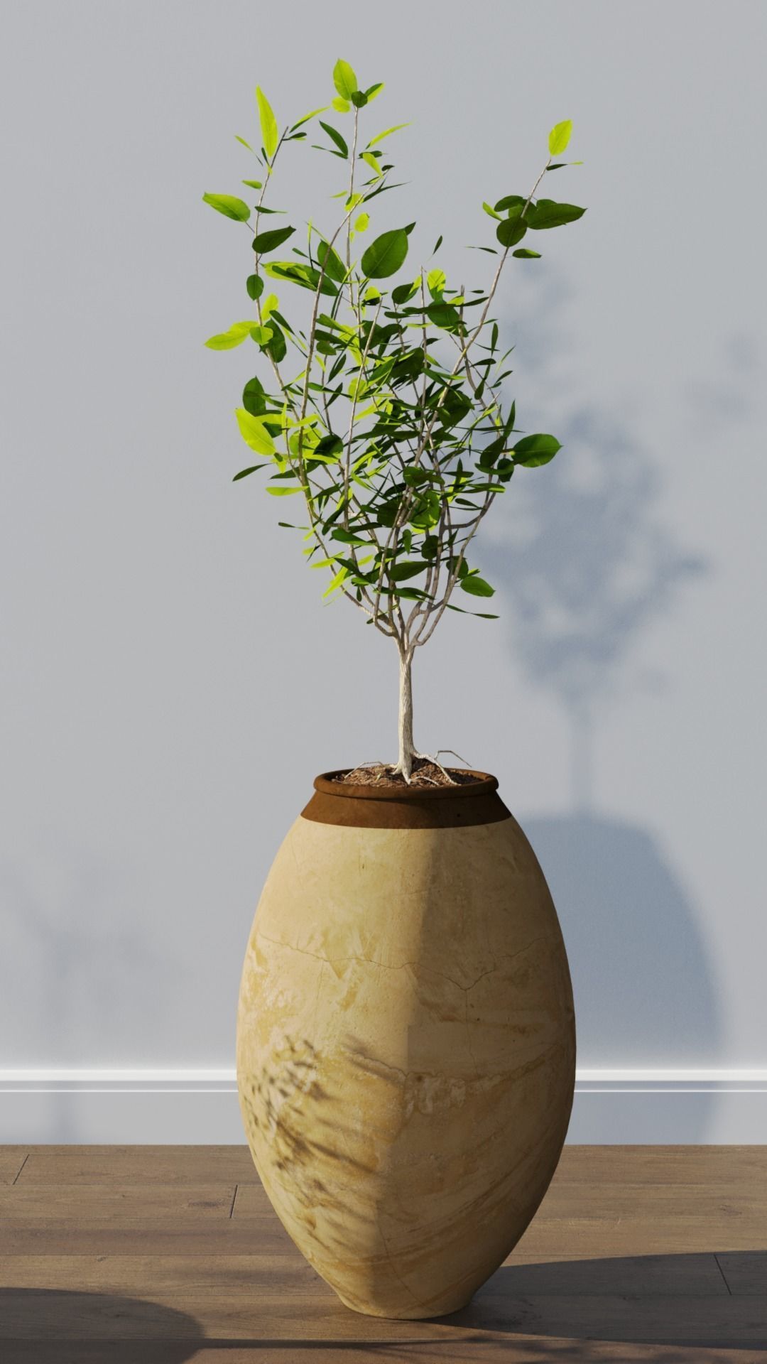 Potted plants collection 3D model_4