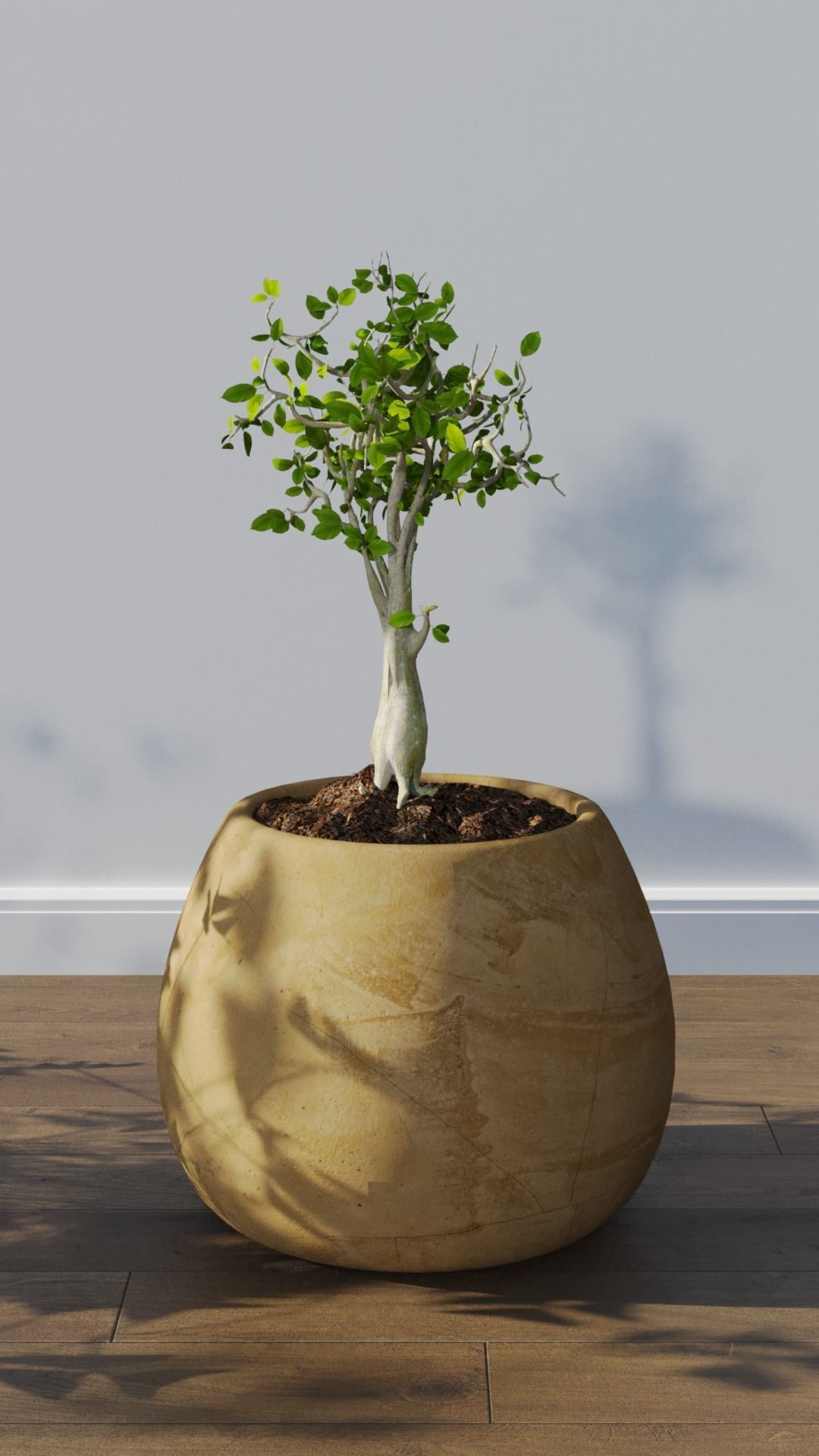 Potted plants collection 3D model_8