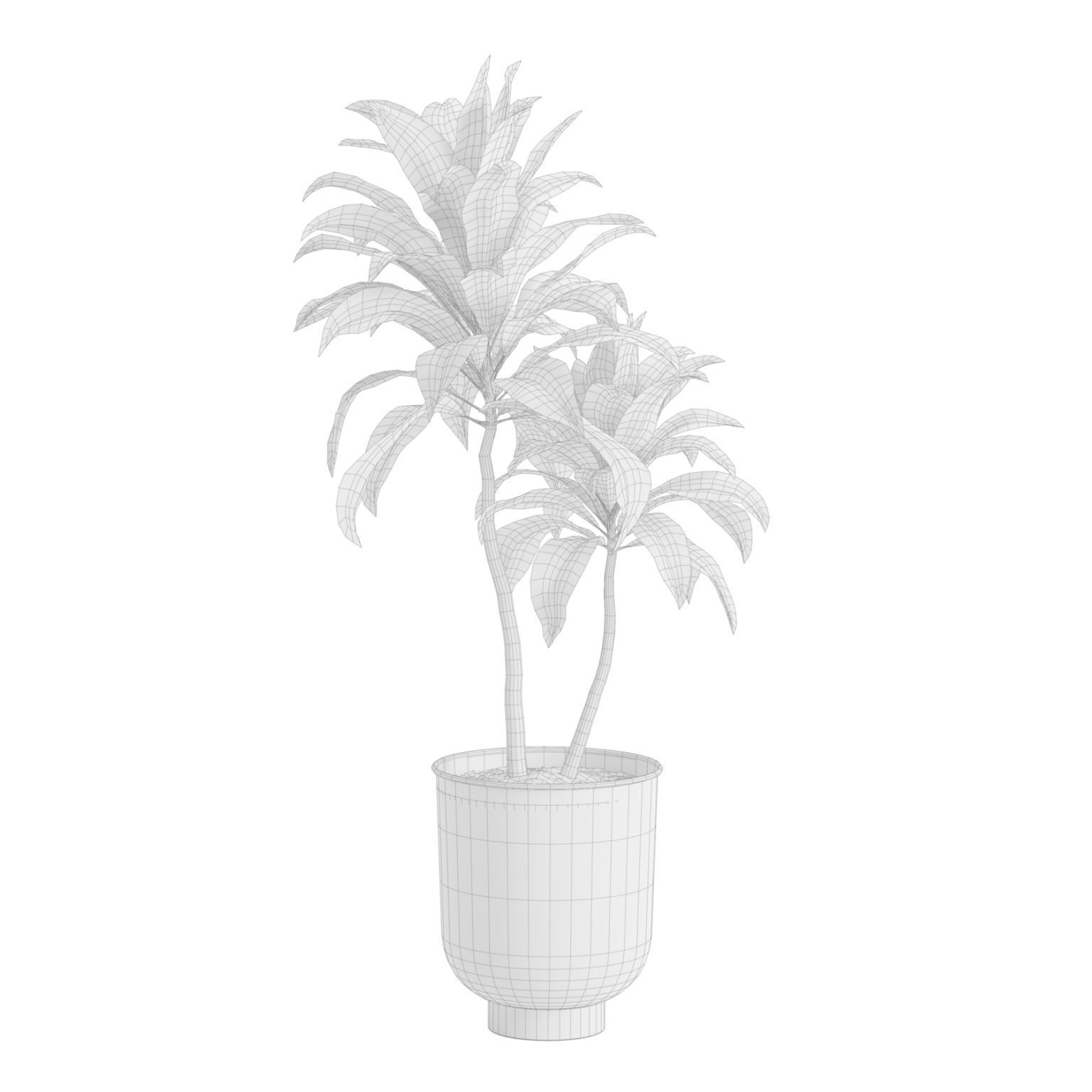 Indoor Plants Pack 40 Low-poly 3D model_8