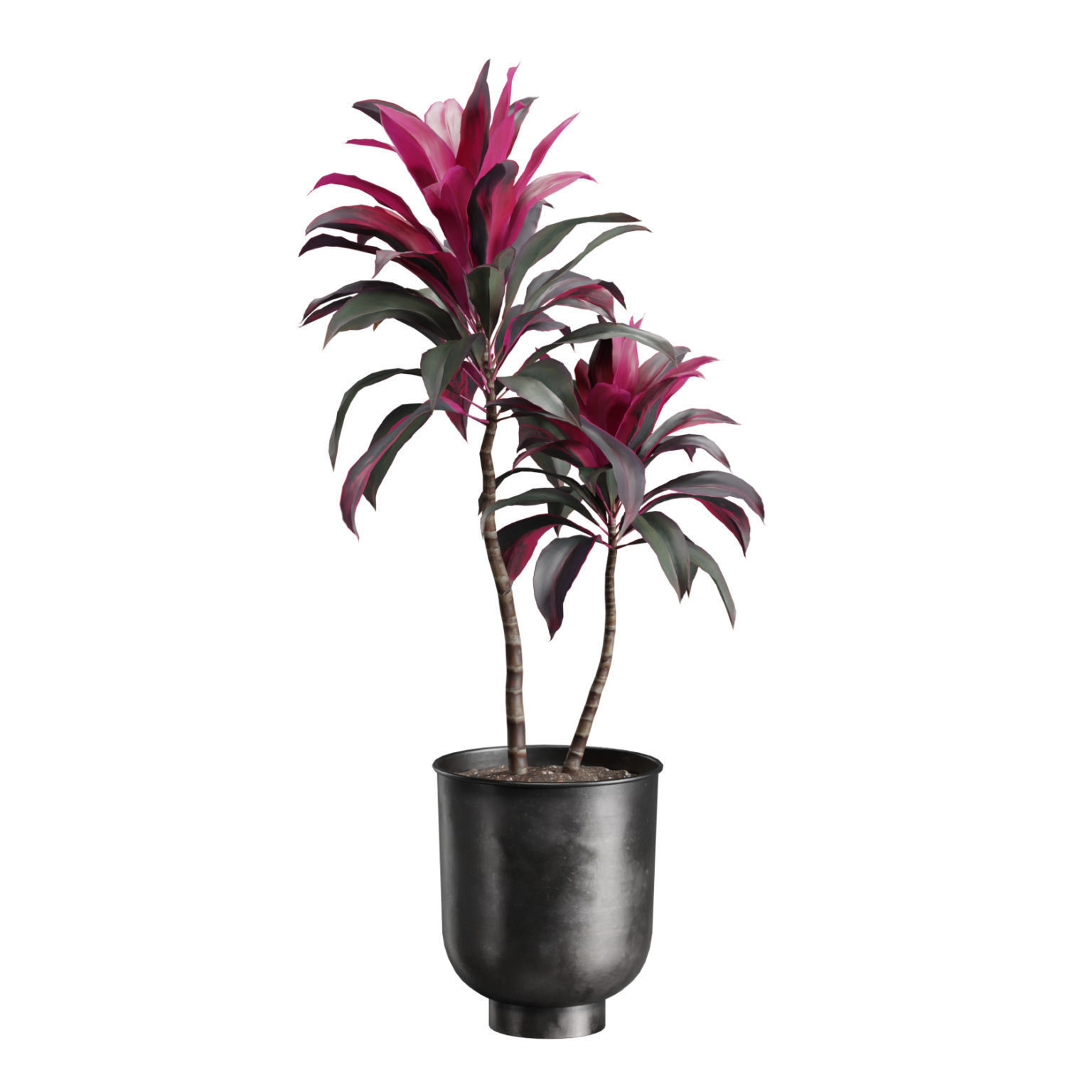 Indoor Plants Pack 40 Low-poly 3D model_7