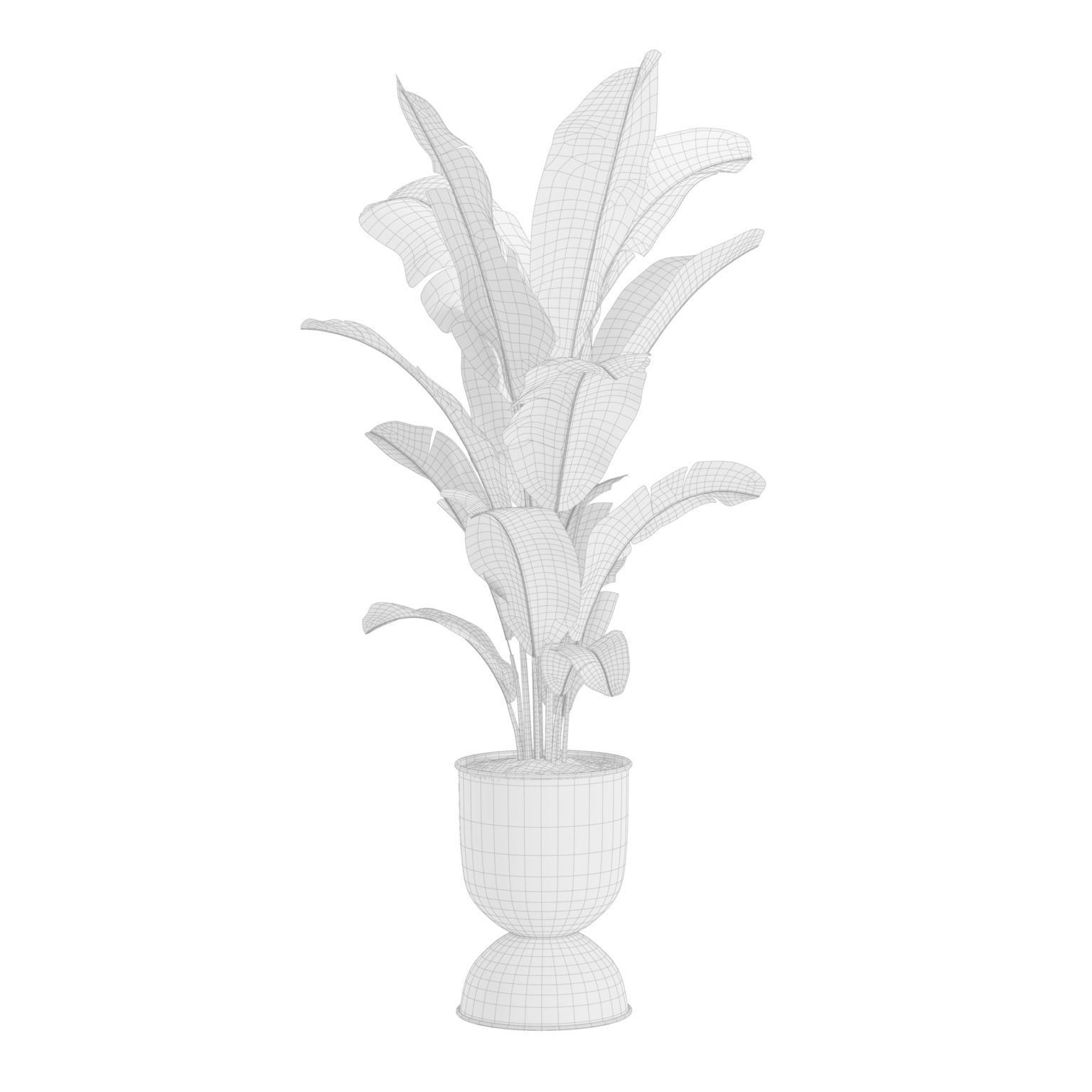 Indoor Plants Pack 40 Low-poly 3D model_4