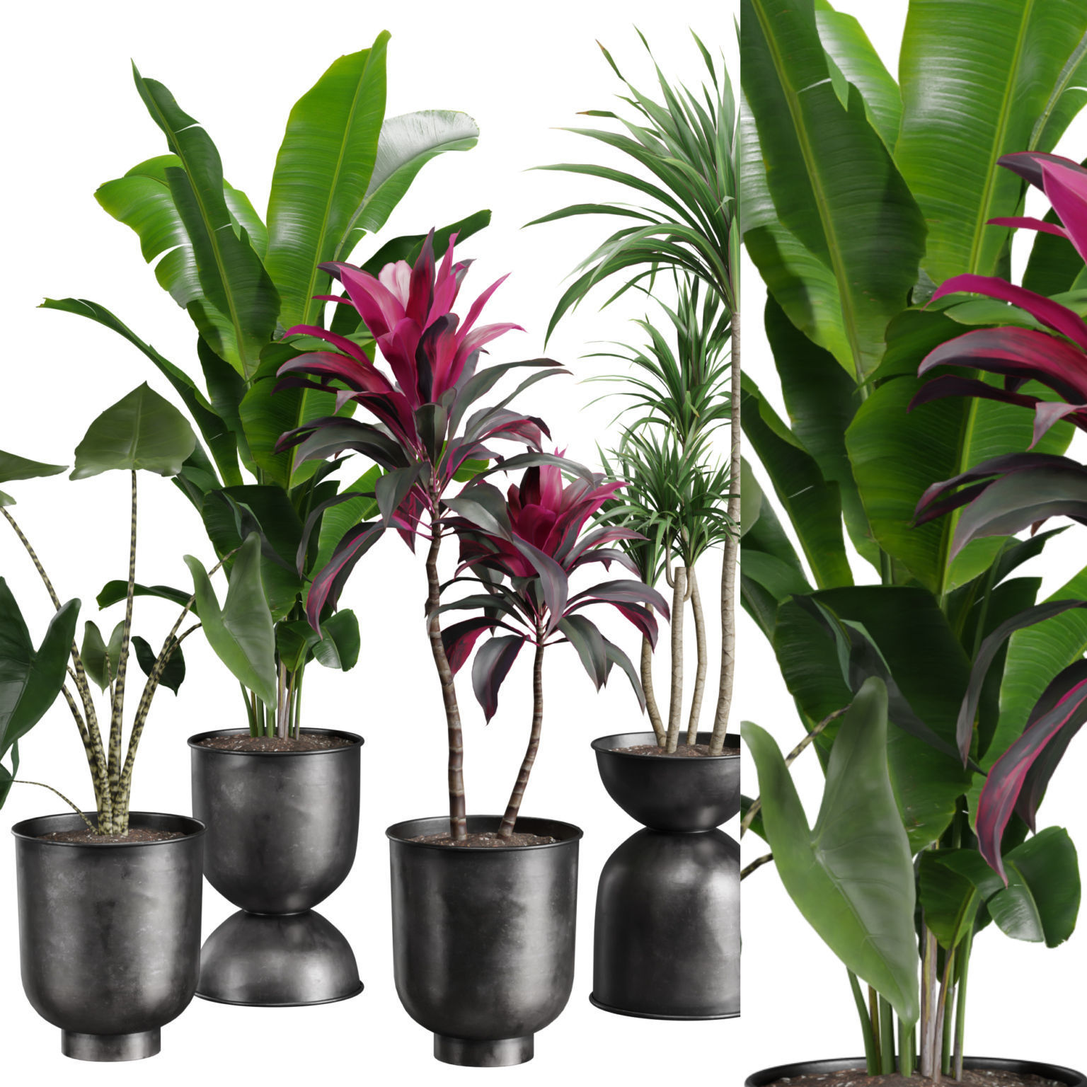Indoor Plants Pack 40 Low-poly 3D model_1