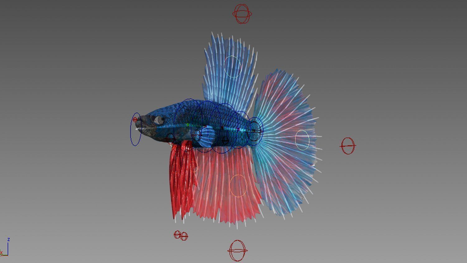 3DS Max Betta Rigged Low-poly 3D model_1
