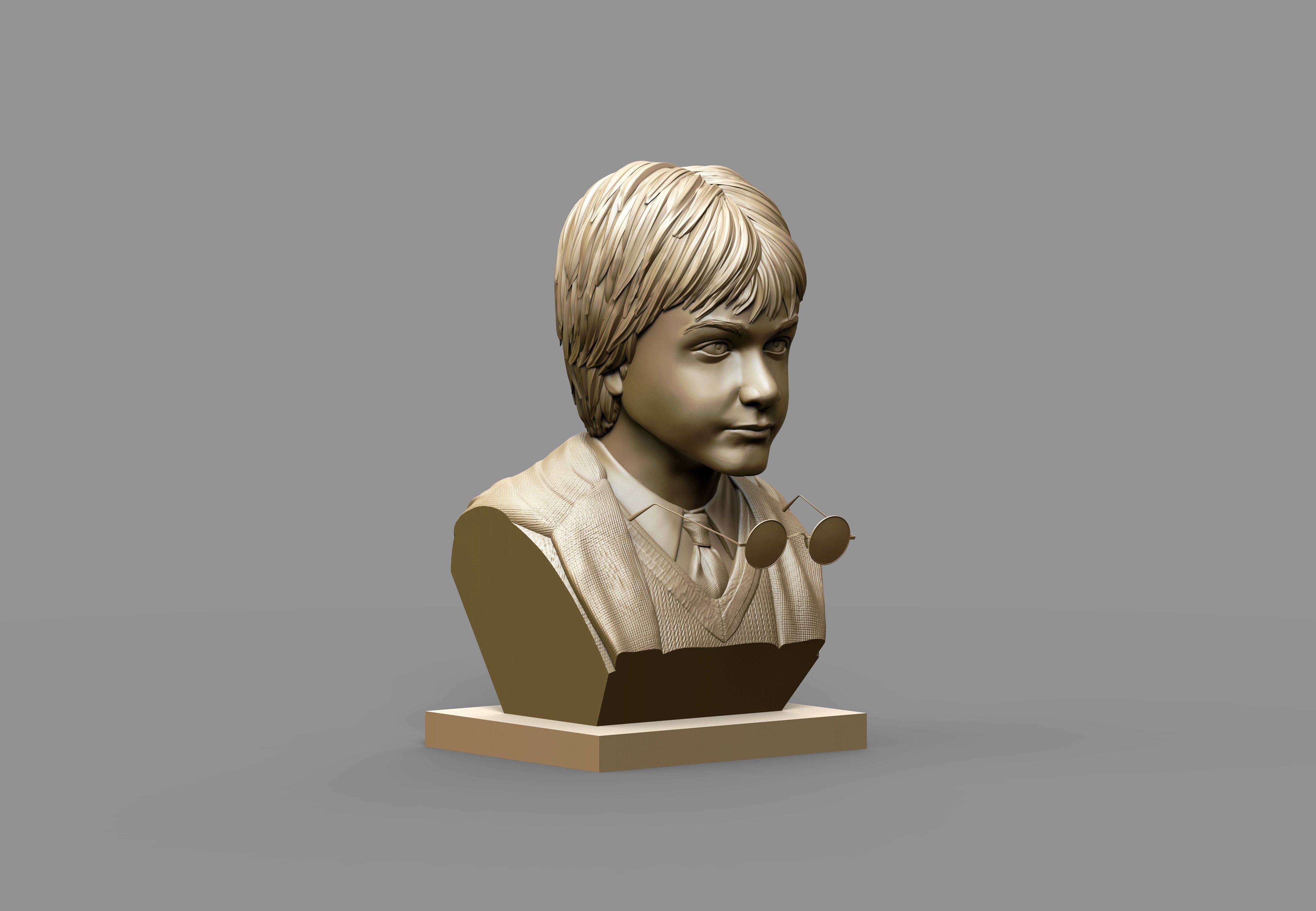 Harry Potter bust 3D Model 3D print model_2