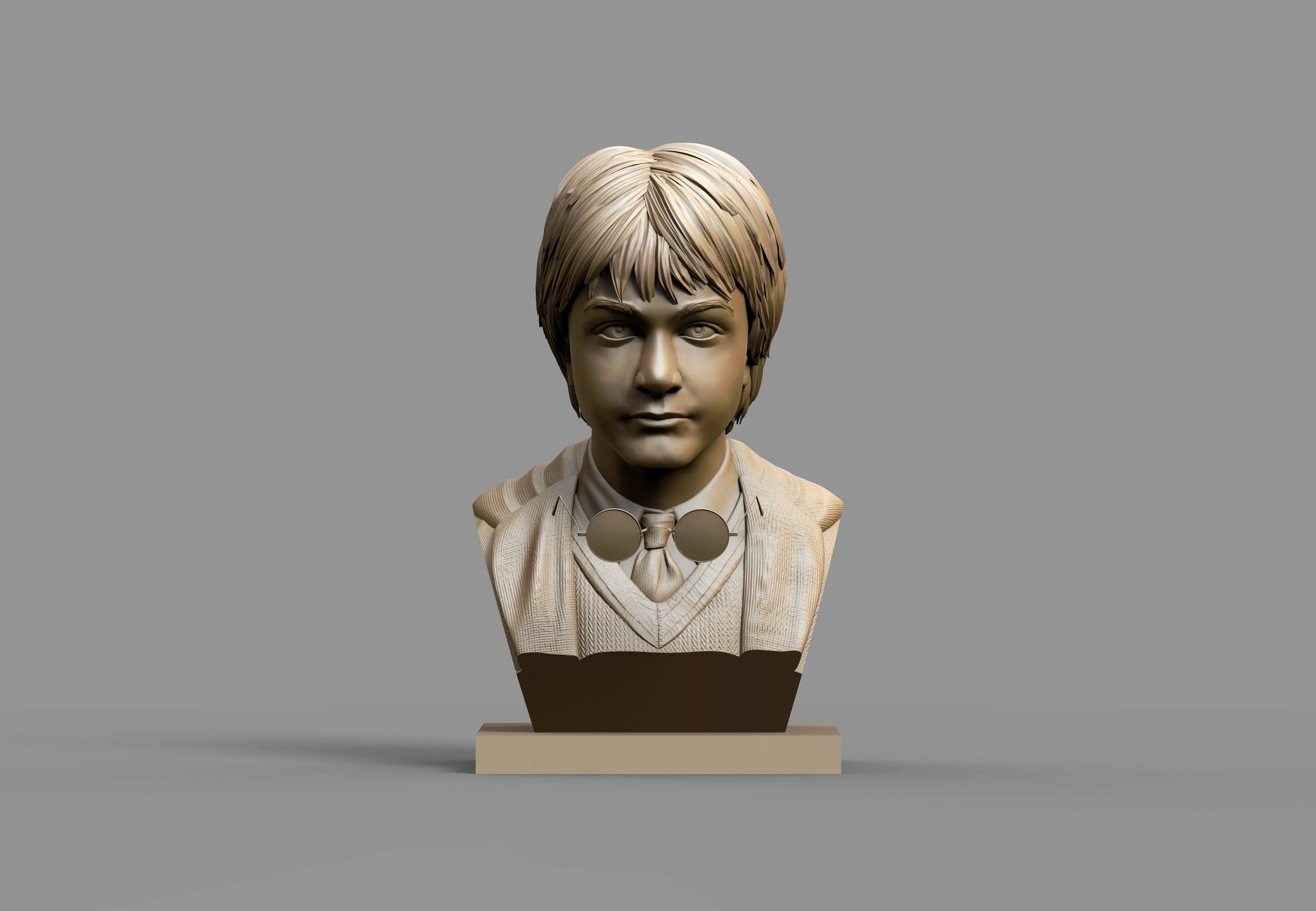 Harry Potter bust 3D Model 3D print model_3