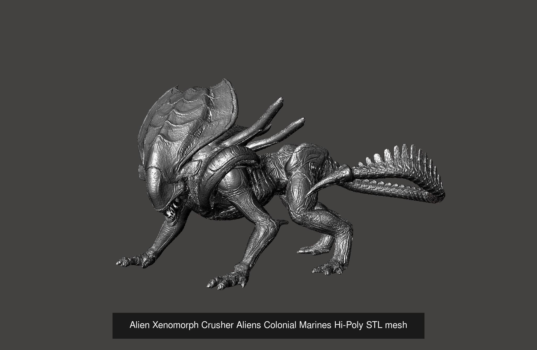 GAMEQRAFT XENOMORPH STL COLLECTION _3