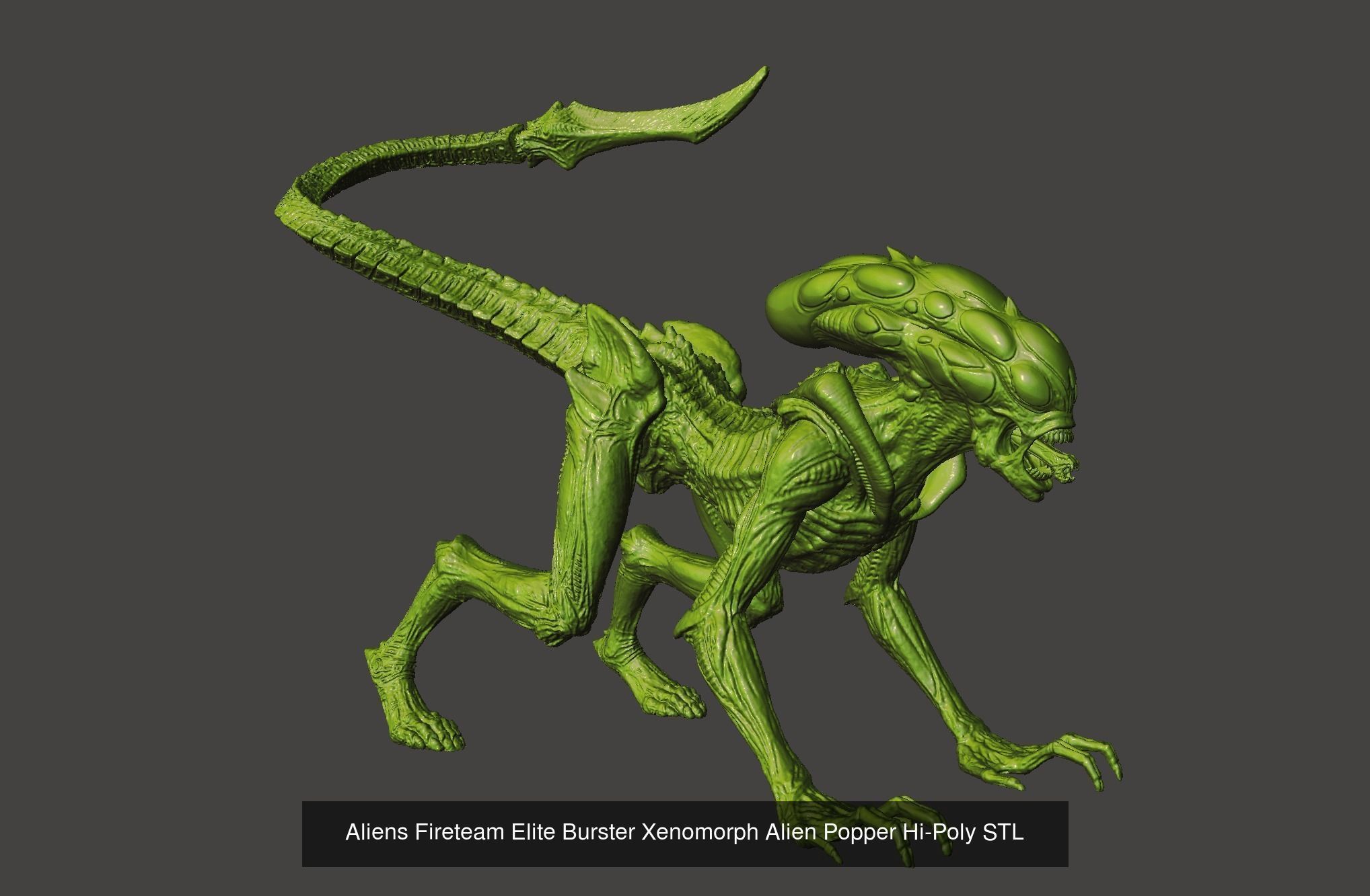 GAMEQRAFT XENOMORPH STL COLLECTION _4