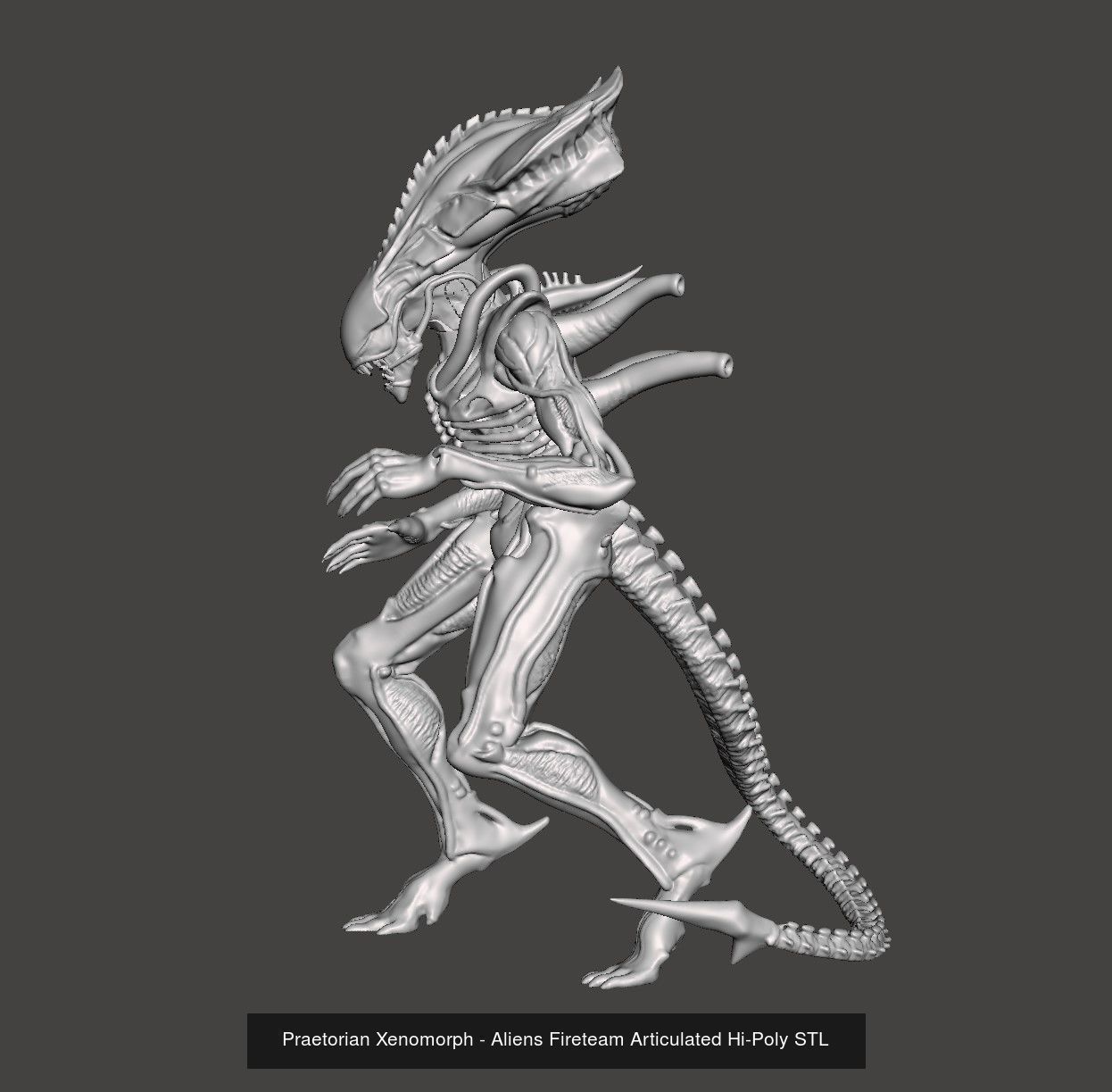 GAMEQRAFT XENOMORPH STL COLLECTION _9