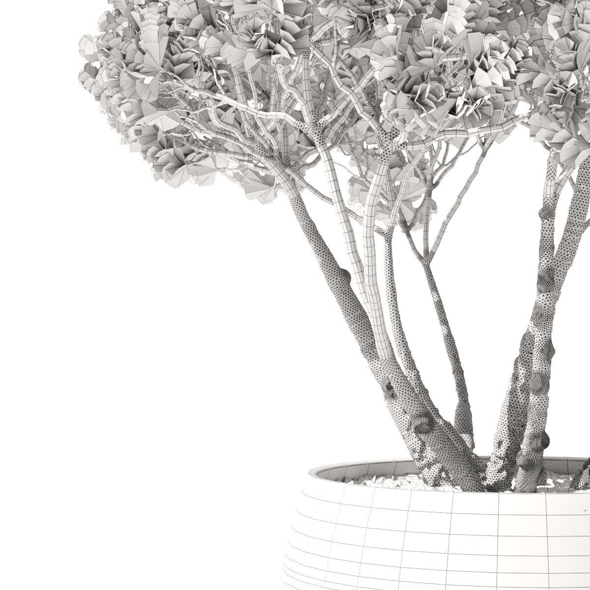 Pinus Mugo Planter 3D model_3