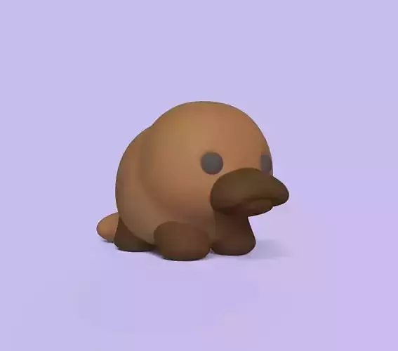 Baby Platypus