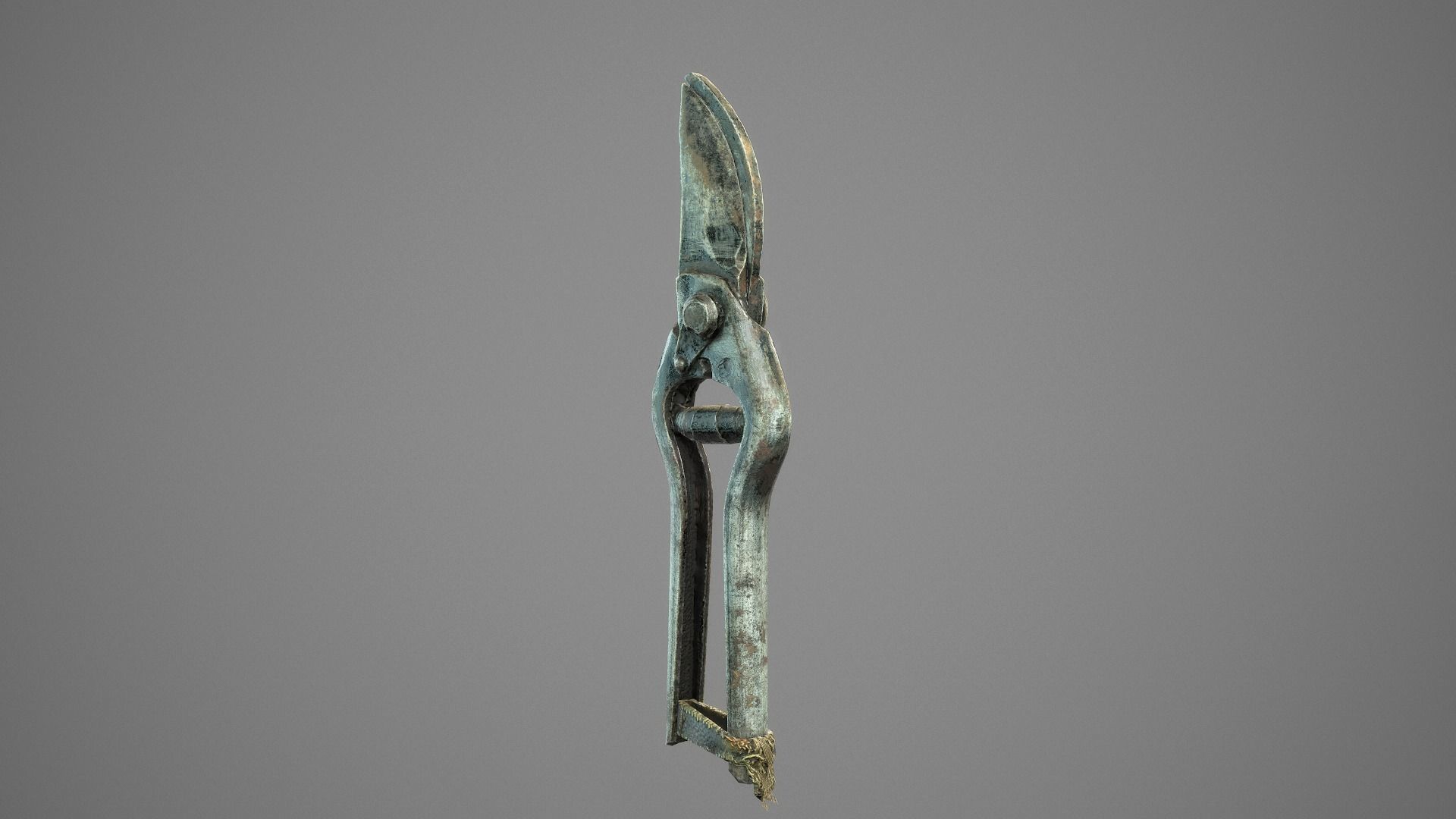 Old Pruner Low-poly 3D model_3