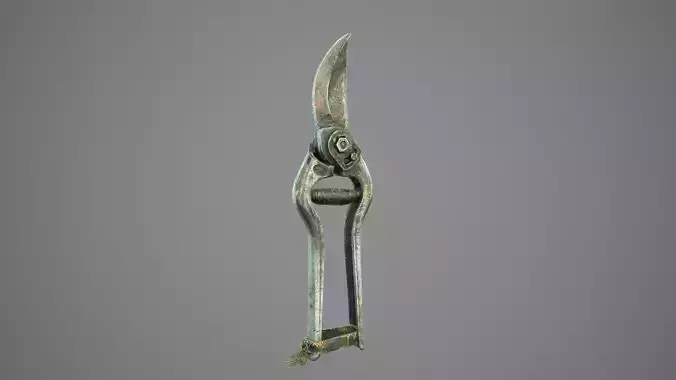 Old Pruner Low-poly 3D model