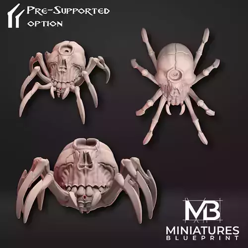 Cyclops Skull Spider