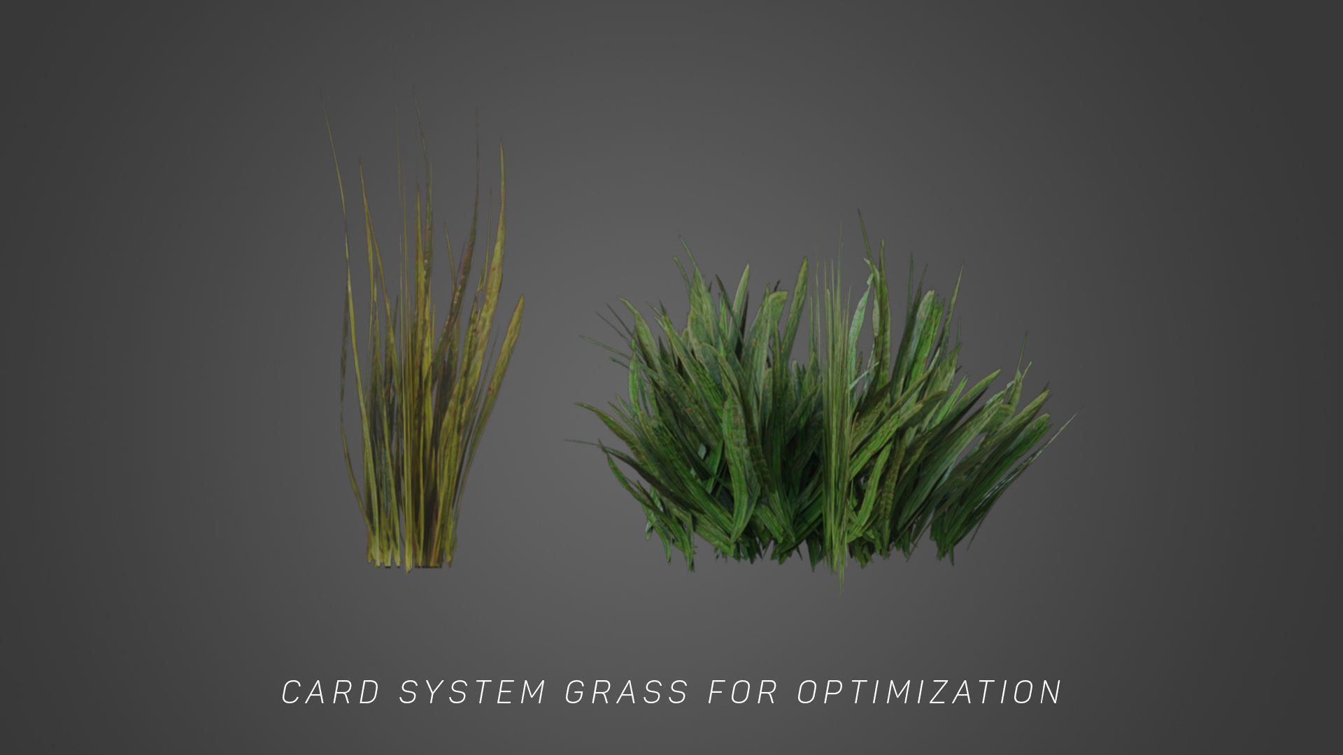 FOREST JUNGLE PACK FOR GAMES LOW POLY TREES and OTHERS Low-poly 3D model_3