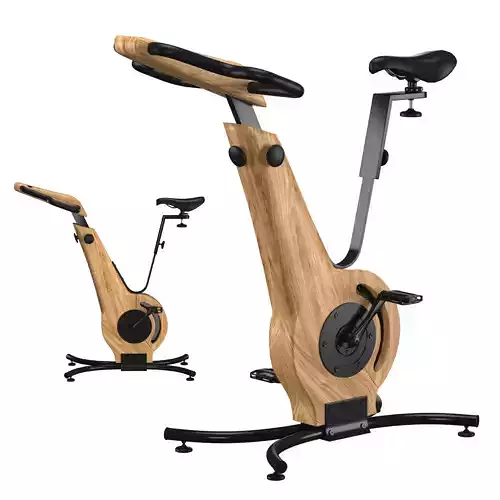 NOHrD Luxury Indoor Exercise Bike