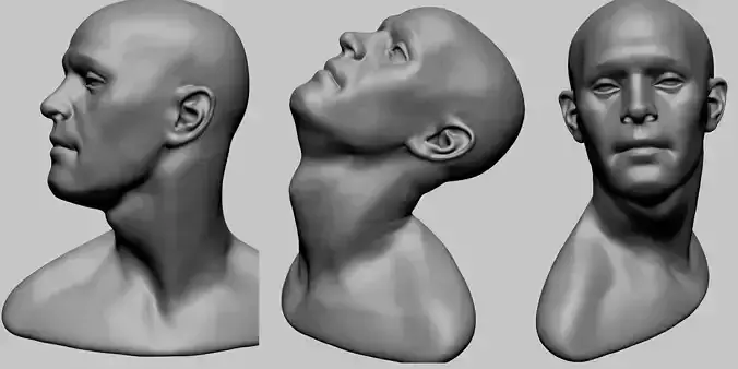 Male Head Movement 3D model