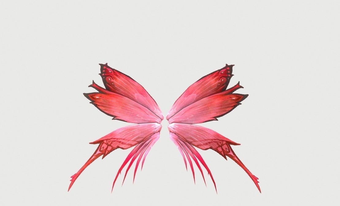 Butterfly Wing Low-poly 3D model_3