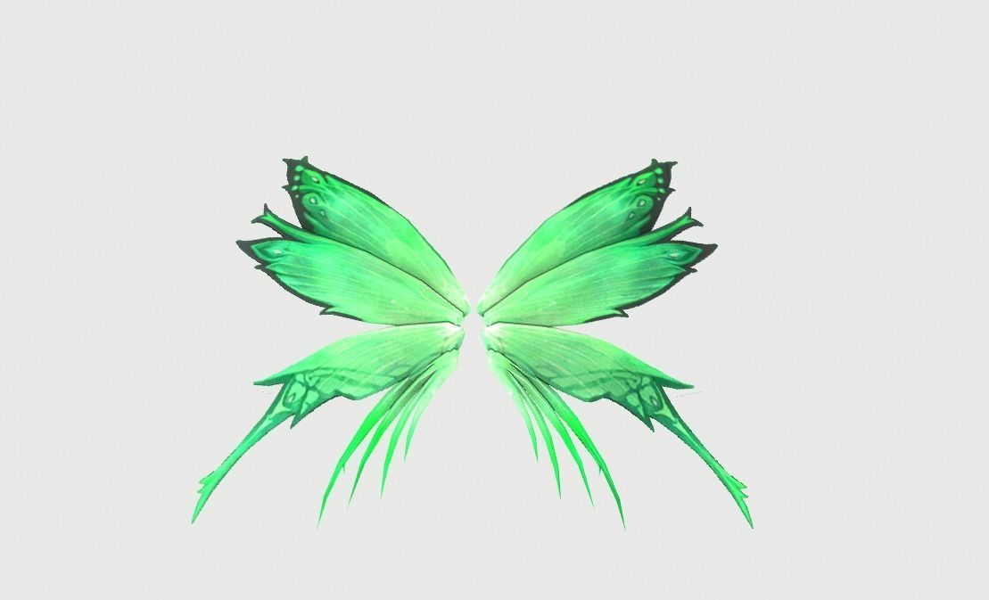 Butterfly Wing Low-poly 3D model_9