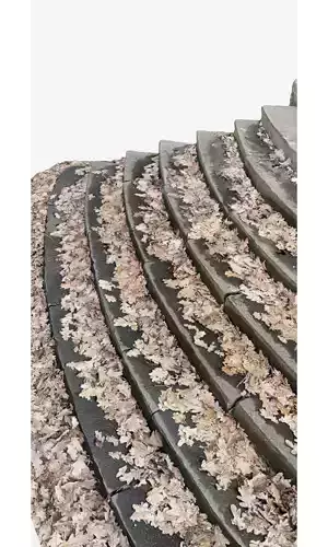 Old granite steps in autumn leaves Photo-Scanned Low-poly Low-poly 3D model