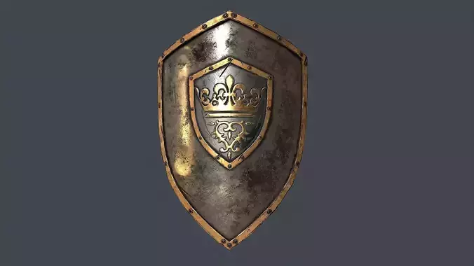 King Shield PBR