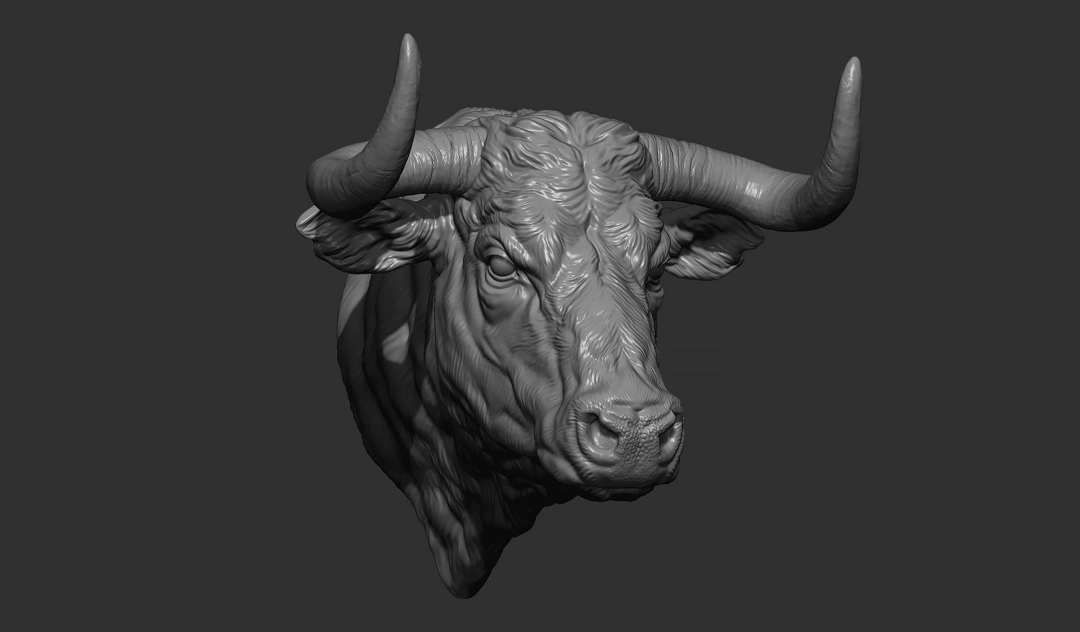 Bull head 3D print model_4