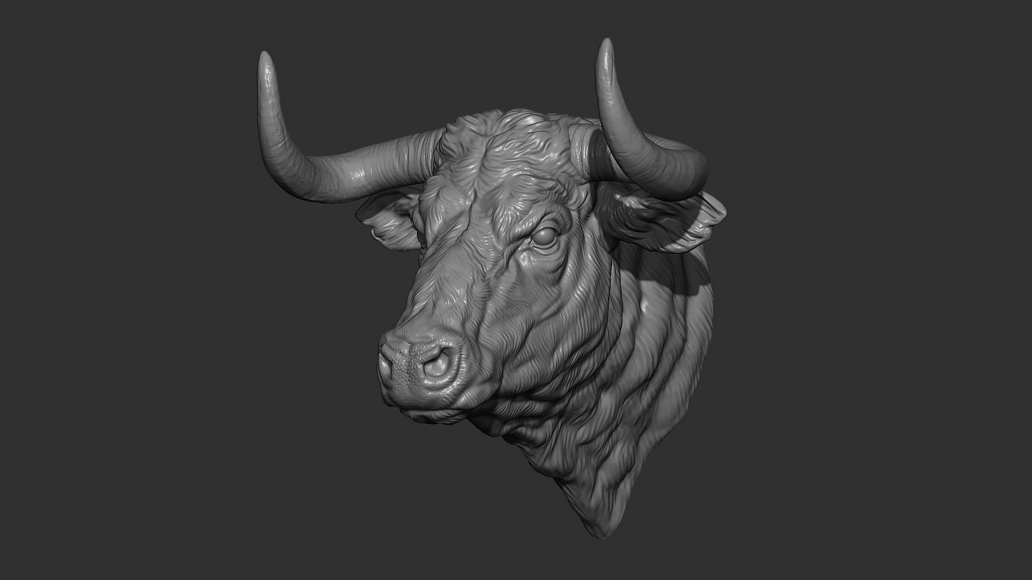 Bull head 3D print model_9
