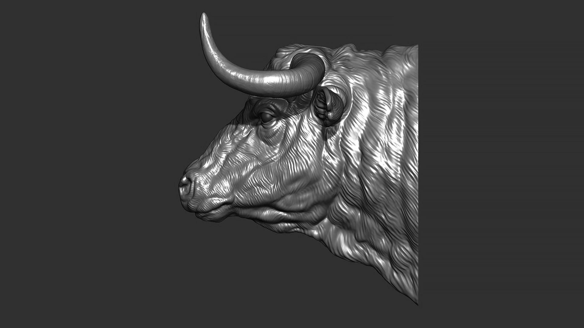 Bull head 3D print model_13