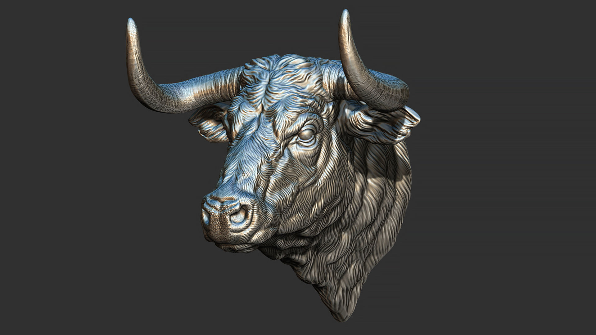 Bull head 3D print model_1