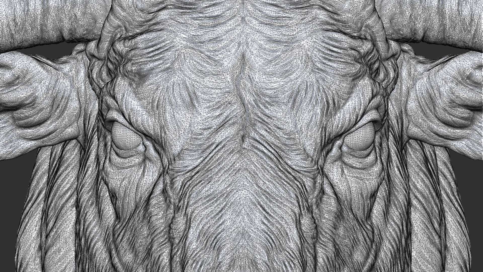 Bull head 3D print model_15