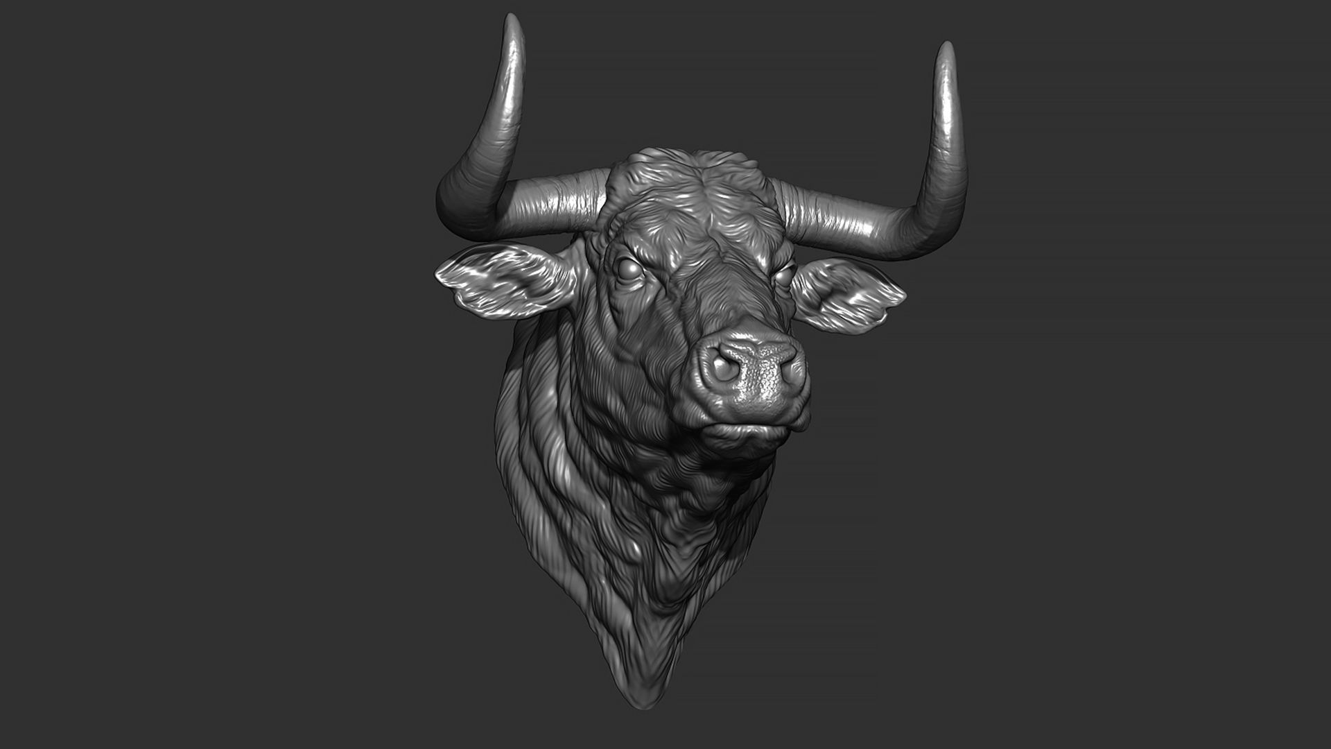Bull head 3D print model_12
